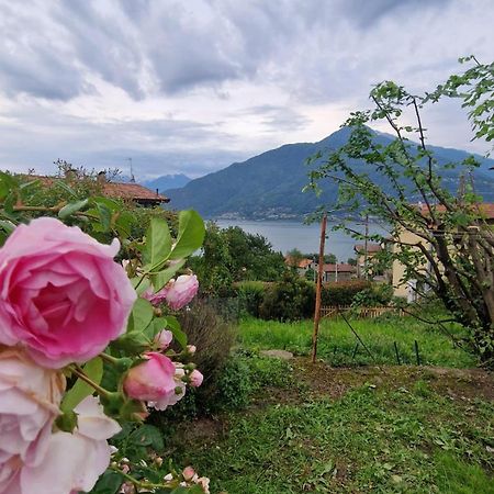 Villetta Con Giardino Privato Cremia ภายนอก รูปภาพ